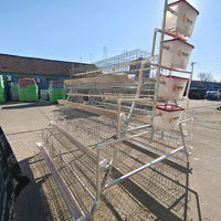 Type A 160 oiseaux pondeuse d'oeufs caille volaille batterie poulet couche Cage poulailler matériau en acier galvanisé nouvel usage domestique