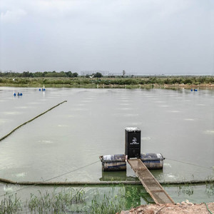 80kg Temporizador <span class=keywords><strong>de</strong></span> plástico Control Digital Auto Pescado/Camarón/<span class=keywords><strong>Gambas</strong></span>/Tilapia Granja Alimentador - Product Image 4