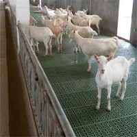 Goat and Sheep Farming Plastic Slatted Flooring
