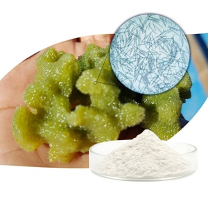 Polvo de Espículas de Esponja de Grado Cosmético/Polvo de Esponja Hidrolizada en Envase de Tambor Blanco - Product Image 3
