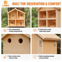 Nichoir à oiseaux en bois suspendu pour l'extérieur avec fenêtre en acrylique transparente, nichoir en bois massif pour jardin, cour arrière, oiseaux sauvages