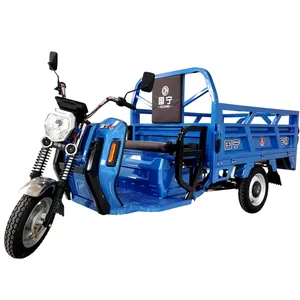 Оптовая продажа, 800W/1000W/1200W 3-колесный грузовой Электрический рикша, трехколесный велосипед, гидравлический самоходный Электрический подъемник с открытым кузовом 60 В