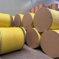 Nouvelles coussinets rafraîchissants antistatiques et absorbants en papier enduit de résine jaune (pâte de bois) de haute qualité pour animaux d'élevage