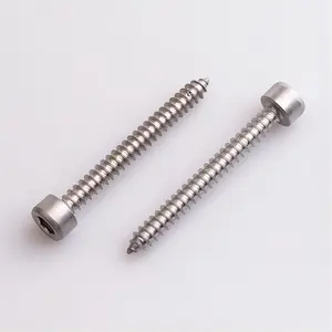 M5.5*50mm Carbon Steel Nickel Plated Hexagonal Socket Cup Head Self Tapping Thread Screw