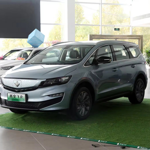 2023 thiết kế mới xe điện xe người lớn MPV ruilan Maple Leaf 80vPro Maple Xe Xe EV - Product Image 3