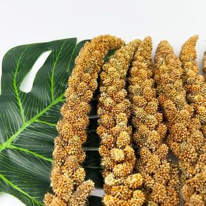 Fabrikant Leveren Rode Gierst Spray Uit China - Product Image 5