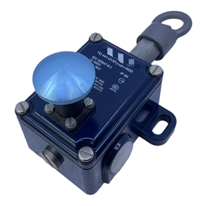 Yeni Orijinal Hazır TQ441-01/01Y-U-E-R-M20 Depo Endüstriyel Otomasyon PLC Programlama Kontrol Cihazı - Product Image 1