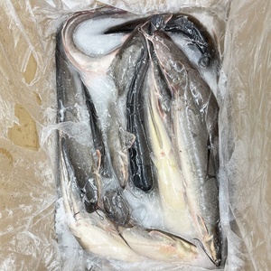 Spedizione Rapida di Pesce Gatto Congelato di Grandi Dimensioni IQF BQF 10KG, Taglia 500-1000g 1000-2000g, Pesce Gatto Intero Congelato per l'Africa - Product Image 5