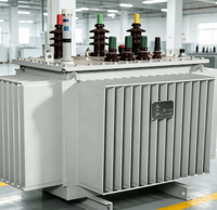 Transformator Step Down Tiga Fasa Berpendingin Minyak untuk Pemasangan Luar Ruangan, Efisiensi Tinggi, Ukuran Ringkas, Kapasitas 30KVA-1600KVA