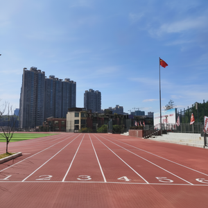 Pista de Atletismo Híbrida ASHER AS-PT03 de 13 mm, Estándar Europeo, 400 Metros, Pista de Atletismo de Caucho AW Prefabricada de 1.22 m x 15 m/20 m - Product Image 1