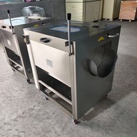 Automatische CX-600 Commerciële Multifunctionele Aardappel-, Fruit- & Knoflookschilmachine met Borstelrol, Hoge Capaciteit voor Wortelgroenten