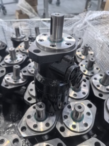 มอเตอร์ไฮดรอลิกคุณภาพสูงราคาโรงงาน OMP Bm1 Bmr Bm3 Bm4 Bm5 Bm6 Bmh Bmd Bmm Bmg Bms BMR50/100/125/200/250/315 110 - Product Image 1