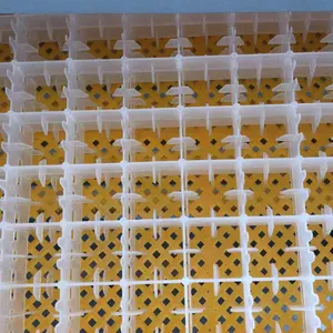 Plastic Poultry Egg Tray for Hatching and Incubation