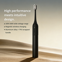 Fabricant BSCI, brosse à dents électrique douce et légère à 1 mode, logo privé, rechargeable, magnétique, brosse à dents électrique dentaire