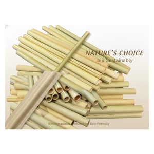 Pailles à boire en bambou emballées de manière durable, biodégradables et compostables pour les entreprises écologiques et les fêtes avec logo personnalisé - Product Image 1