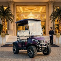Carrito de Golf Eléctrico de Lujo para Hoteles y Resorts, Batería de Litio de 72V, 2 Plazas, Color Morado, Motor de CA de 4kW, Suspensión MacPherson