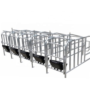 Prodotti di vendita caldi attrezzature per allevamento di animali stallo di gestazione pesante barra di posizionamento limite di scrofa di <span class=keywords><strong>maiale</strong></span> penna di gestazione zincata - Product Image 6