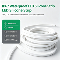 Bande lumineuse LED flexible en silicone étanche IP67 avec télécommande 24V DC pour éclairage intérieur et extérieur