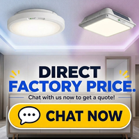 Plafonnier solaire LED extérieur étanche avec télécommande pour garage, balcon, abri de jardin, patio - Échantillon gratuit OEM/ODM