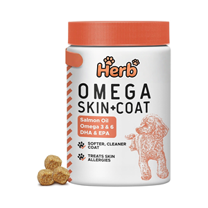 Compléments nutritionnels pour animaux de compagnie à marque privée OEM/ODM avec colostrum pour la peau et le pelage en OEM/ODM - Product Image 1