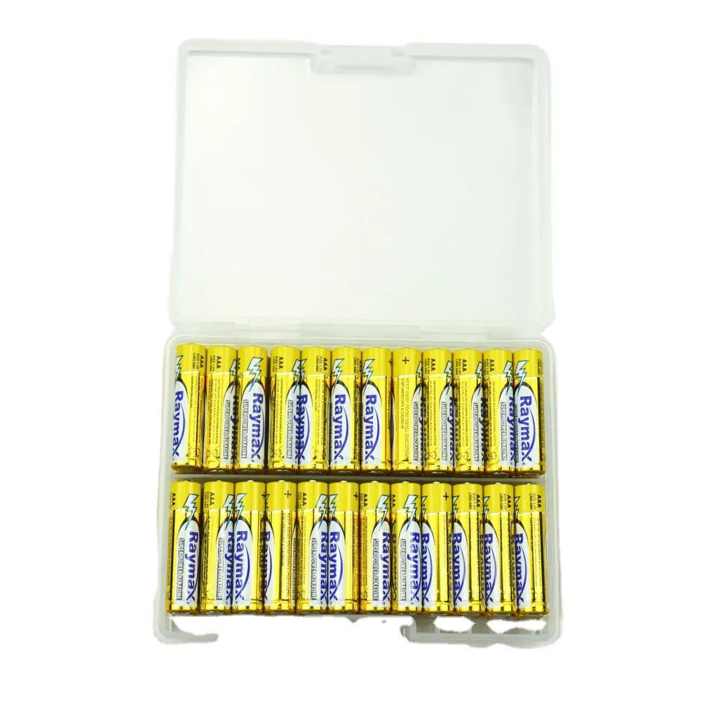 Raymax Doppio un Pilas OEM Direttamente LR6 AM3 Scatola di Plastica Super Alkaline Batterie Cina 1.5V AA 48pcs di Alluminio foglio di 5 Anni