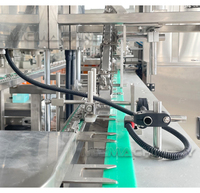 Machine de remplissage automatique de sachets à bec verseur pour jus de fruit en pâte crème sauce miel