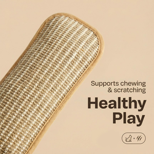 Tapis à gratter pour chat en chanvre écologique, coussin moderne en sisal couleur menthe, jouet à mâcher pour l'auto-entretenement quotidien, jouets-coussins pour animaux de compagnie - Product Image 2