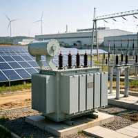 Transformateur de distribution immergé dans l'huile triphasé ONAN pour extérieur/intérieur 35kV 3150kVA S20-M-3150/35 pour l'alimentation des parcs industriels