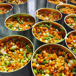 Premium fabrika doğrudan satış yüksek kalite taze besleyici renkli tarzı konserve karışık turşu konserve karışık sebze - Product Image 3