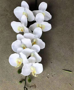 Real seda recubierto de látex orquídeas 9 cabezas Artificial de la orquídea - Product Image 2