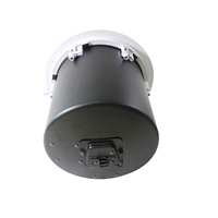 Haut-parleur de plafond subwoofer 240W haute puissance 4ohm 10 pouces avec dôme de feu pour système de son surround 5.1