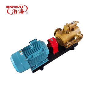 Bomba de tornillo de hierro fundido con bypass interno de tres vías y válvula de seguridad incorporada para tuberías de bioaceite - Product Image 5