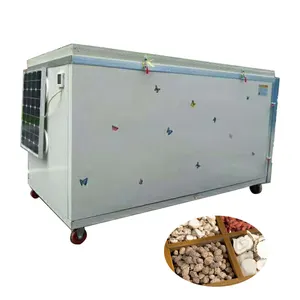 Mushroom Solar Mango Herb Dryer For Tea Fruits And Vegetable Commercial