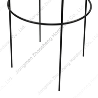 Support de plante en métal en spirale oblisque Cage à tomates en acier piquet de plante de jardin pour légumes fleurs fruits Rose vigne plante grimpante