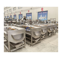 Fabrieksdirect automatische fruit- en groentewasser, mango-, aardappel- en cassave-schiller, wortelwas- en schilmachine