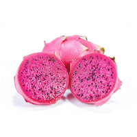 Poudre de fruit du dragon rouge lyophilisée 100 % pure en vrac, poudre de jus de pitaya rose