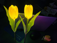Lampu LED RGB Bunga Taman Plastik Tahan Air IP65 Panjang 70cm Natal Ra80 2700K