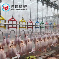 Équipement de plumeuse de volailles et de blanchiment des plumes, Ligne de production d'abattage de volailles avec moteur, Haute productivité 1000 plumes/heure, 380V