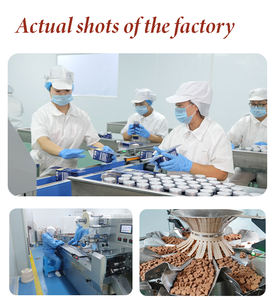 Bouillon d'os de boeuf OEM/ODM pour chiens à haute teneur en protéines et collagène amélioré avec un mélange de champignons pour un soutien digestif et immunitaire fort - Product Image 6