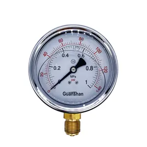 Groothandel manometer 1 2-1/2" NPT Axial pressure gauge with edge diaphragm temperature controller digital Natural Gas Meter