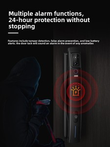 Cerradura de Seguridad para Puerta de Hogar Liwen Lock City 8801 de Aleación de Aluminio con Huella Dactilar, Reconocimiento Facial y Contraseña, con Almacenamiento de Datos en Línea - Product Image 4