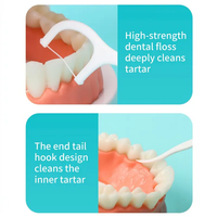 Cure-dents jetables biodégradables avec logo personnalisé, vente en gros directe usine, pour soins bucco-dentaires