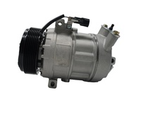 Compresseur de climatisation automatique pour RENAULT TRAFIC II 2.0 LAGUNA II 2.0 ESPACE IV 2.0 VEL S 8200577732/8200705022/506041-0531 DCS17ECR TPYE