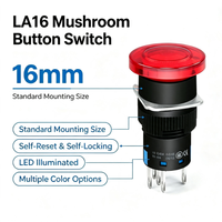 Bouton poussoir LED 16 mm 12 V 24 V à tête champignon, pour montage sur panneau industriel, momentané ou à verrouillage automatique, 2NO 2NC, bouton métallique