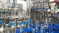 Máquina Automática para Llenado de Botellas de Vidrio para Alcohol, Línea de Embotellado de Licores con Tapón ROPP, Tapón de Rosca y Tapón de Corcho