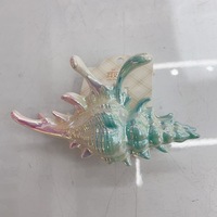 Pince à cheveux en acrylique dégradé personnalisée, style requin, tendance INS, mignonne, pour mariage et fêtes