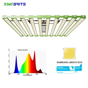 Uv Ir Grow Light Bar Rotate Inward/Outward 2.952umol/J 1000W Samsung LM301H EVO Bar Grow Light High PPFD Best LED Grow Light By KingBrite