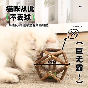 Balle à chatouiller en bois géométrique de 12 cm pour chats, jouet interactif - Product Image 1