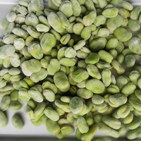 Qualité certifiée en usine Fava congelée IQF saine 100% Haricots frais Fava congelés à vendre