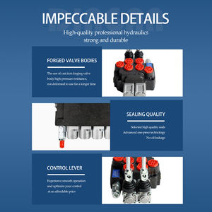 P80 80l/मिनट इलेक्ट्रो-हाइड्रोलिक सोलनॉइड नियंत्रण वाल्व दिशात्मक मोनोब्लॉक मैनुअल प्रवाह नियंत्रण वाल्व - Product Image 5